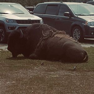 Meet your Posher, Sean.  little